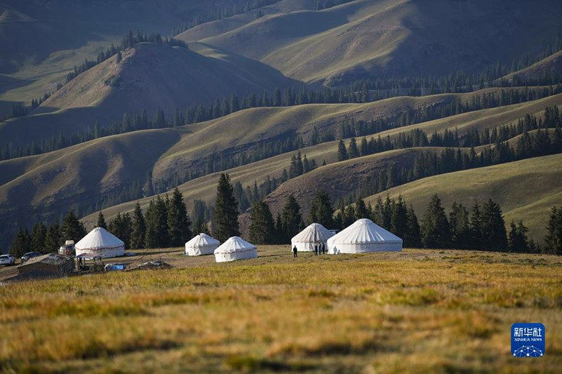 Жаз жайлауда?ы т?рш?л?к