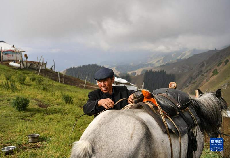 Жаз жайлауда?ы т?рш?л?к