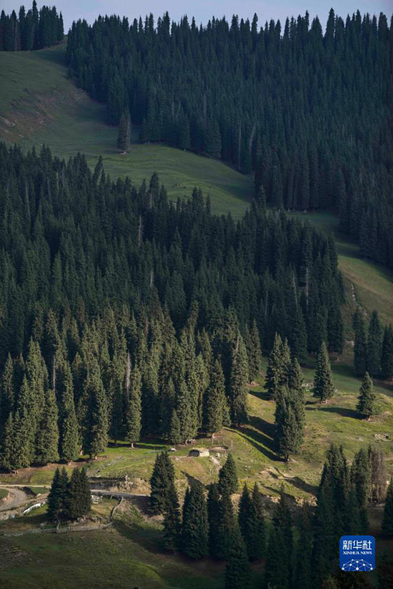 Жаз жайлауда?ы т?рш?л?к