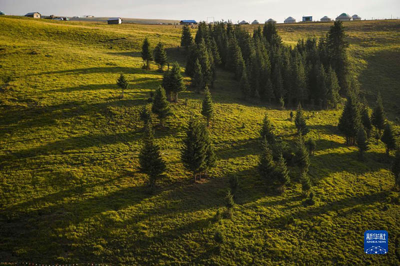 Жаз жайлауда?ы т?рш?л?к