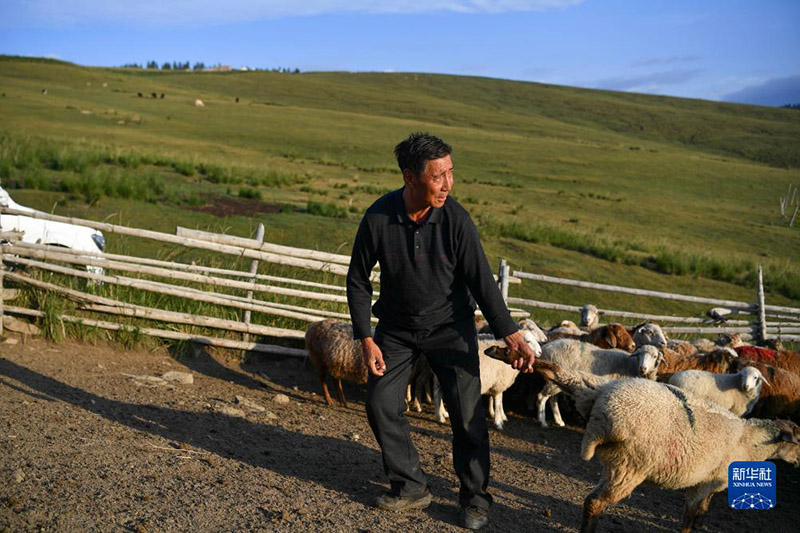 Жаз жайлауда?ы т?рш?л?к