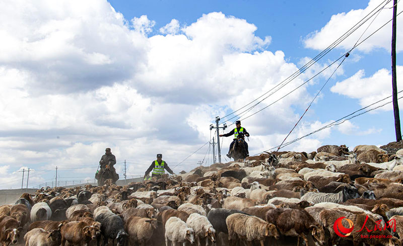 Шы?жа?ны? Тарба?атай айма?ында?ы к?зг? к?ш?-?он