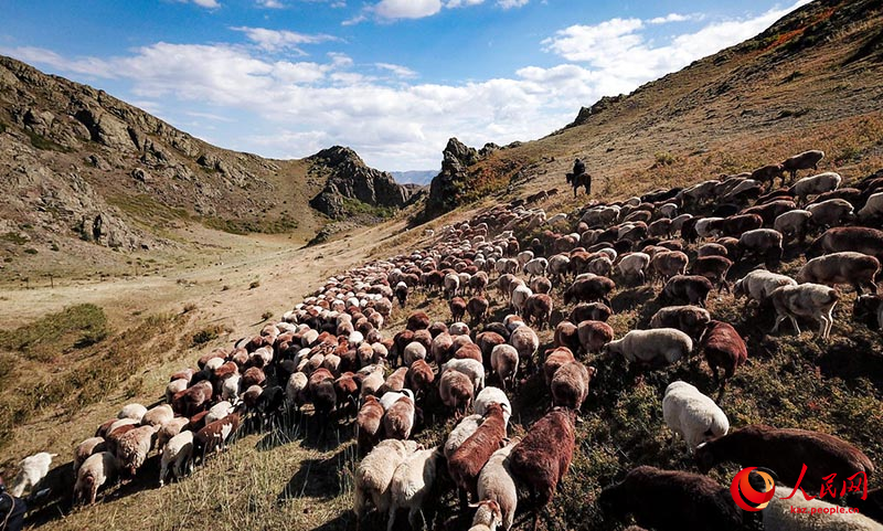 Шы?жа?ны? Тарба?атай айма?ында?ы к?зг? к?ш?-?он