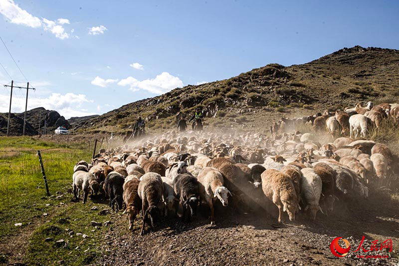 Шы?жа?ны? Тарба?атай айма?ында?ы к?зг? к?ш?-?он