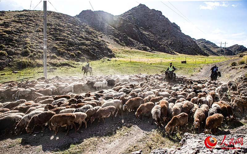 Шы?жа?ны? Тарба?атай айма?ында?ы к?зг? к?ш?-?он