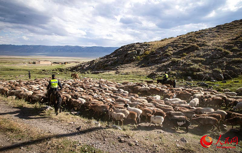 Шы?жа?ны? Тарба?атай айма?ында?ы к?зг? к?ш?-?он
