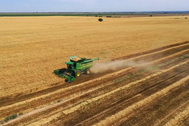 К?ркем Шы?жа?