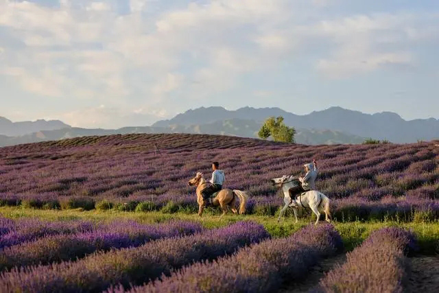 К?ркем Шы?жа?