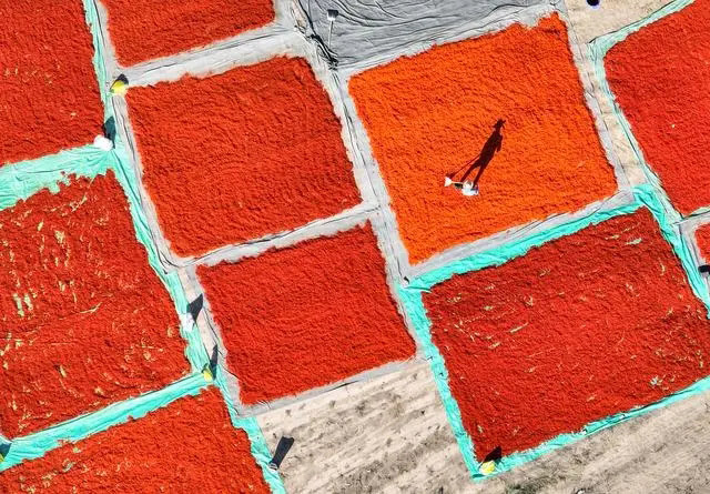 К?ркем Шы?жа?