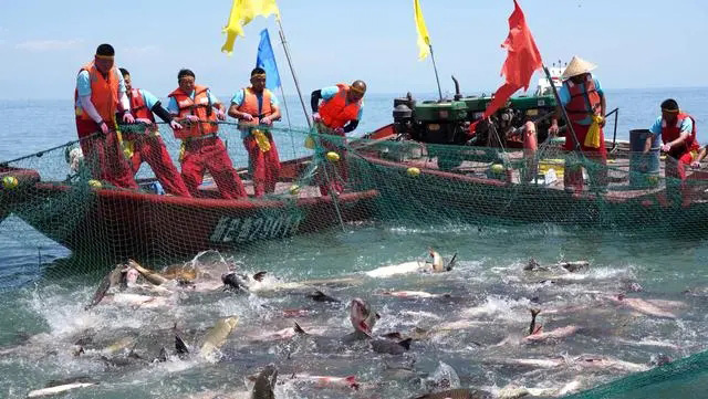 К?ркем Шы?жа?