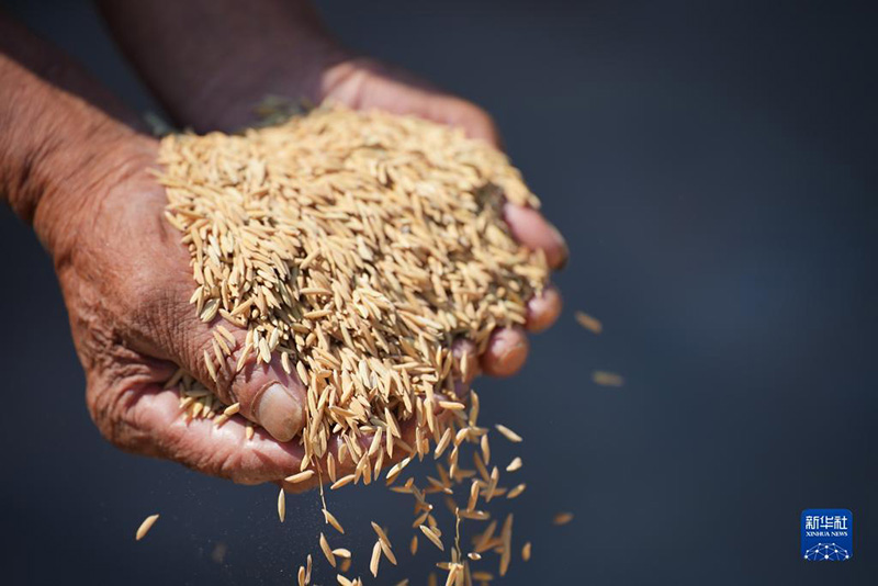 К?зг? жиын-тер?н