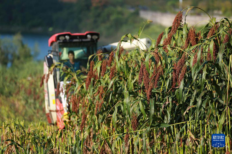 К?зг? жиын-тер?н