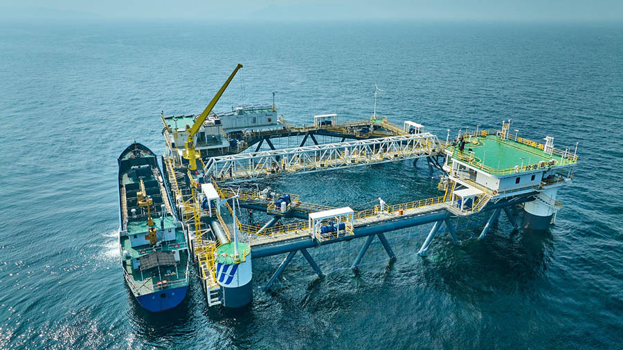 Чандао, Шандун: Те??здег? балы? шаруашылы?ыны? нег?зг? схемасы