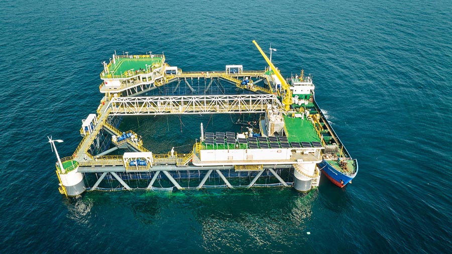 Чандао, Шандун: Те??здег? балы? шаруашылы?ыны? нег?зг? схемасы