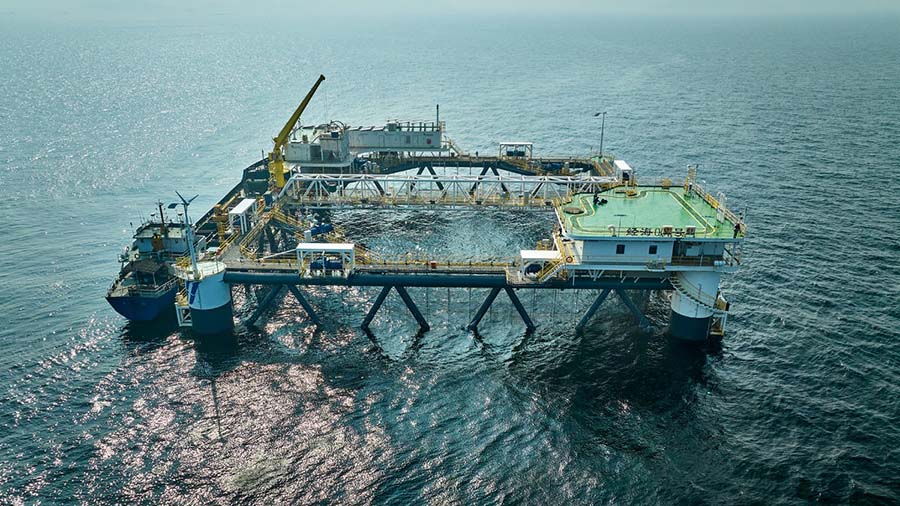 Чандао, Шандун: Те??здег? балы? шаруашылы?ыны? нег?зг? схемасы