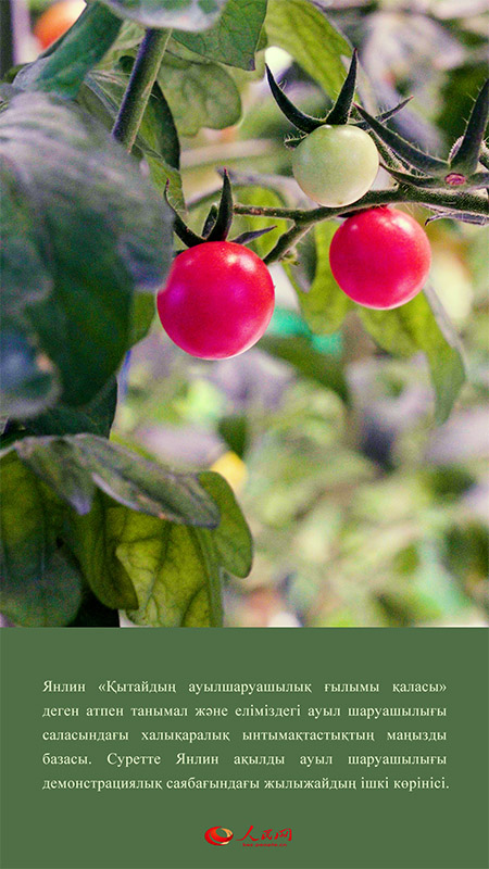 Ж?бек жолында?ы с?лулы?