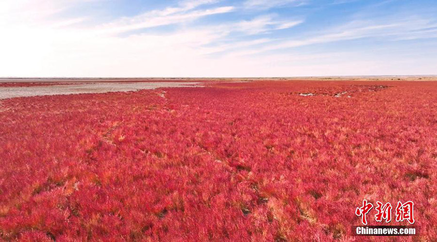 ?шк? Мо??олды? к?зд?? жауын алатын ?ызыл шал?ындары