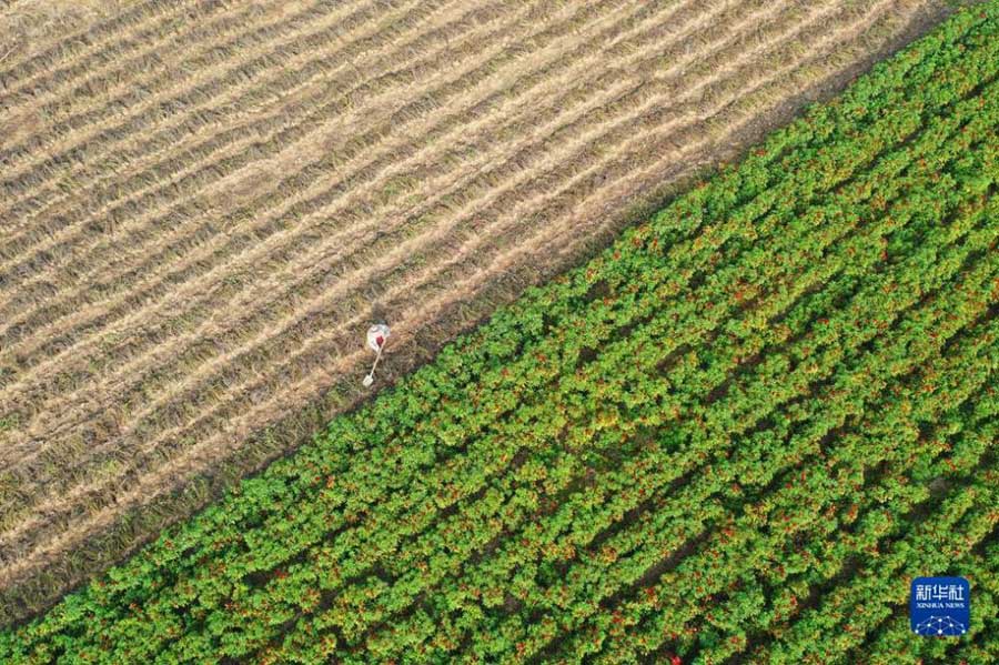 Алтын к?здег? асты? ?н?м?