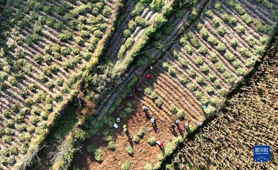 Алтын к?здег? асты? ?н?м?