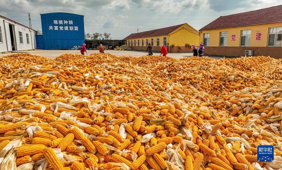 Алтын к?здег? асты? ?н?м?