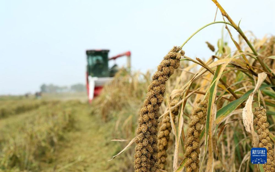 Алтын к?здег? асты? ?н?м?