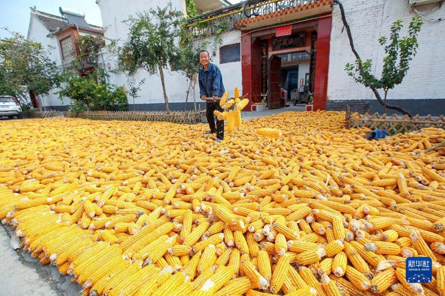 Алтын к?здег? асты? ?н?м?