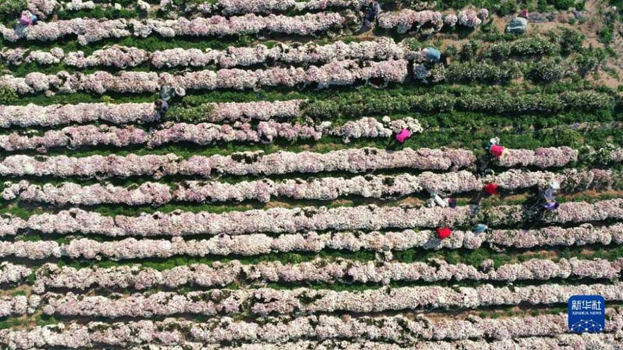 Алтын к?здег? асты? ?н?м?