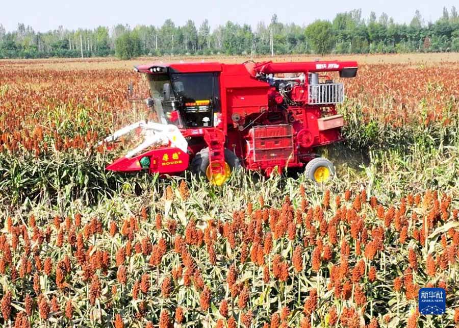 Алтын к?здег? асты? ?н?м?