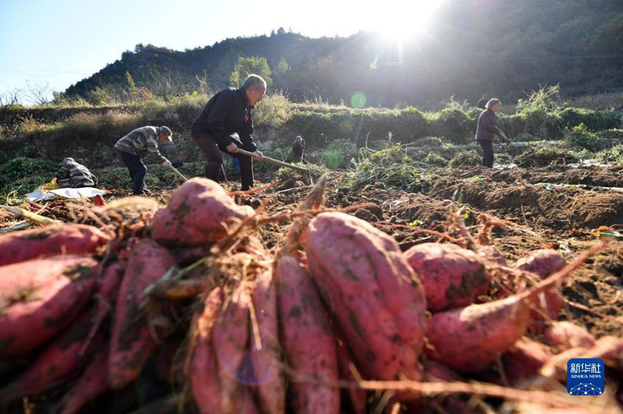 Алтын к?здег? асты? ?н?м?