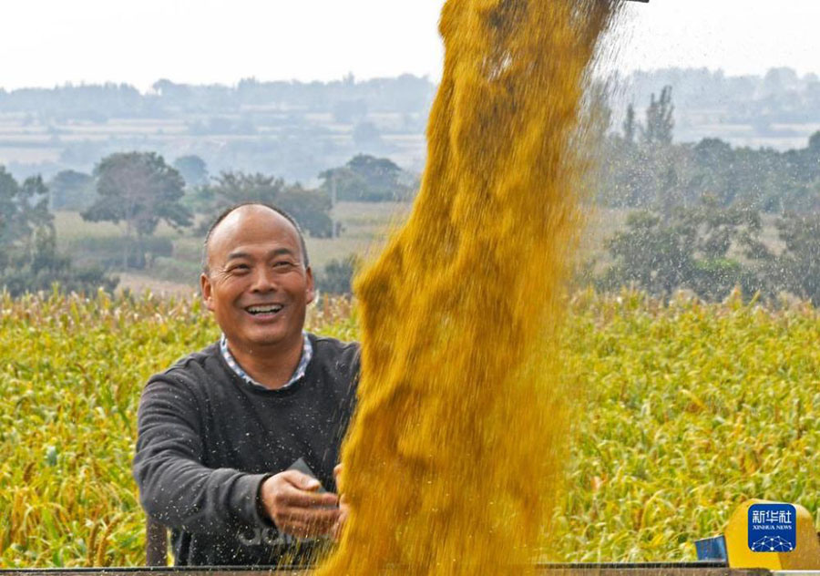 Алтын к?здег? асты? ?н?м?