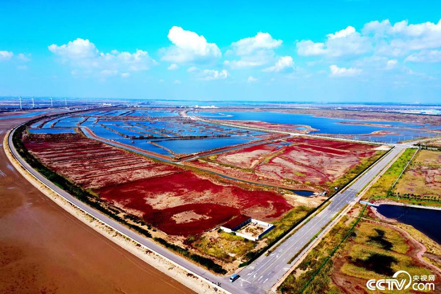 Дунин, Шандун: К?зг? к?н мен т?н арасында?ы температура айырмашылы?ы сулы-батпа?ты жерлерд? ?ызыл т?ске бояды