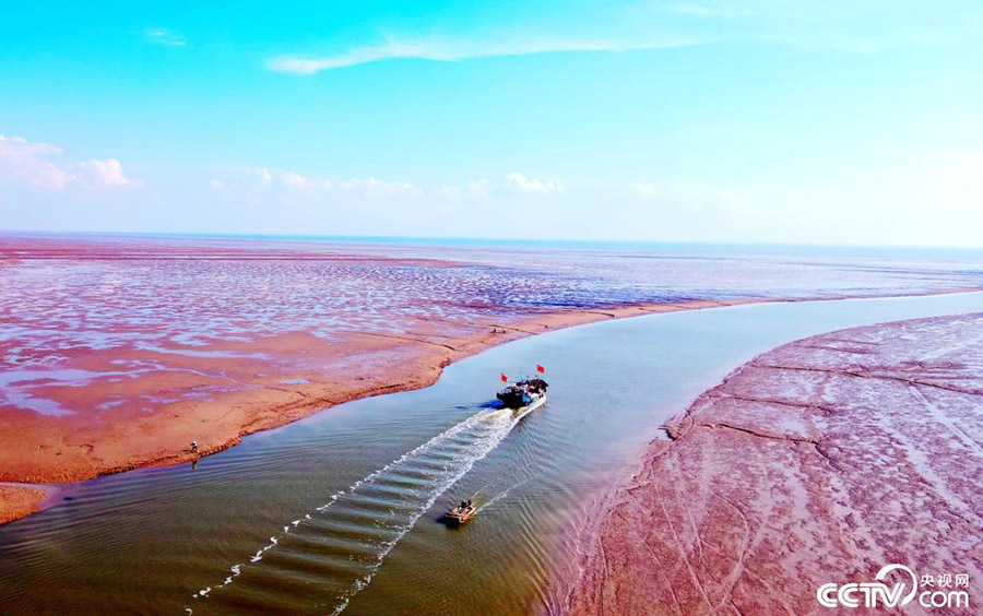 Дунин, Шандун: К?зг? к?н мен т?н арасында?ы температура айырмашылы?ы сулы-батпа?ты жерлерд? ?ызыл т?ске бояды