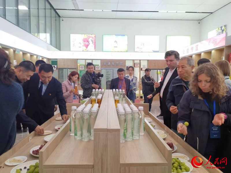 Еуразияны? жетекш? БА? делегациясы Шэньсидег? ауылды жандандыруды? ???пиясын? ?здейд?