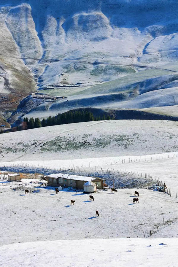 ?ытайды? ?йг?л? ?лтты? тарихи ж?не м?дени ауылы Шо???штайда ?ар жауды