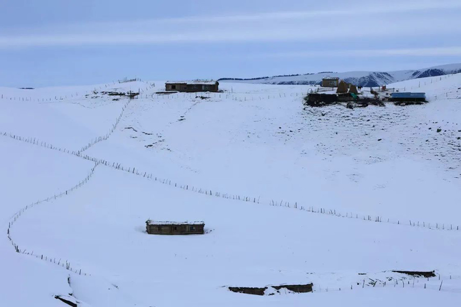 ?ытайды? ?йг?л? ?лтты? тарихи ж?не м?дени ауылы Шо???штайда ?ар жауды