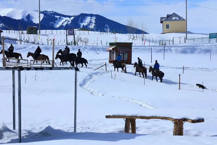 ?ытайды? ?йг?л? ?лтты? тарихи ж?не м?дени ауылы Шо???штайда ?ар жауды