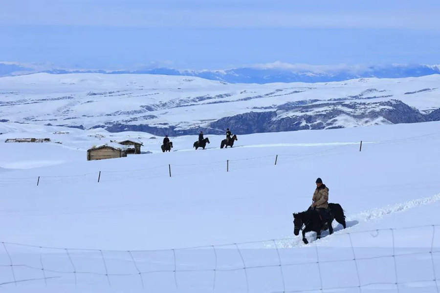 ?ытайды? ?йг?л? ?лтты? тарихи ж?не м?дени ауылы Шо???штайда ?ар жауды