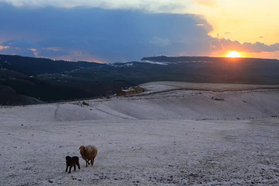 ?ытайды? ?йг?л? ?лтты? тарихи ж?не м?дени ауылы Шо???штайда ?ар жауды