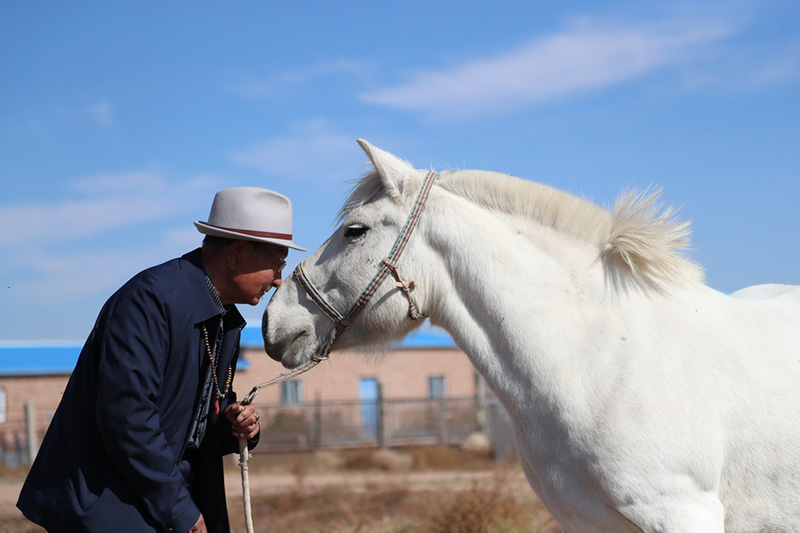 Ордос сахарасында?ы ?К?зг? шопан жыры?