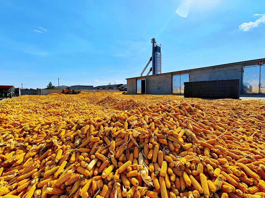 К?зд?? к?рк? - мол ?н?м