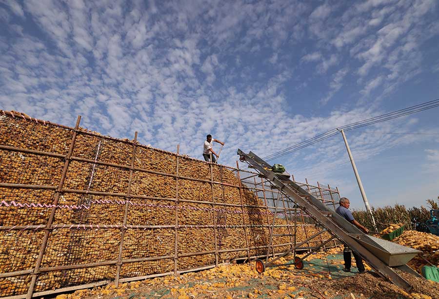 К?зд?? к?рк? - мол ?н?м