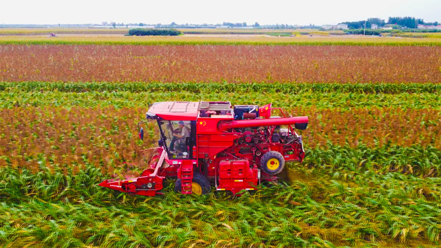 К?зд?? к?рк? - мол ?н?м