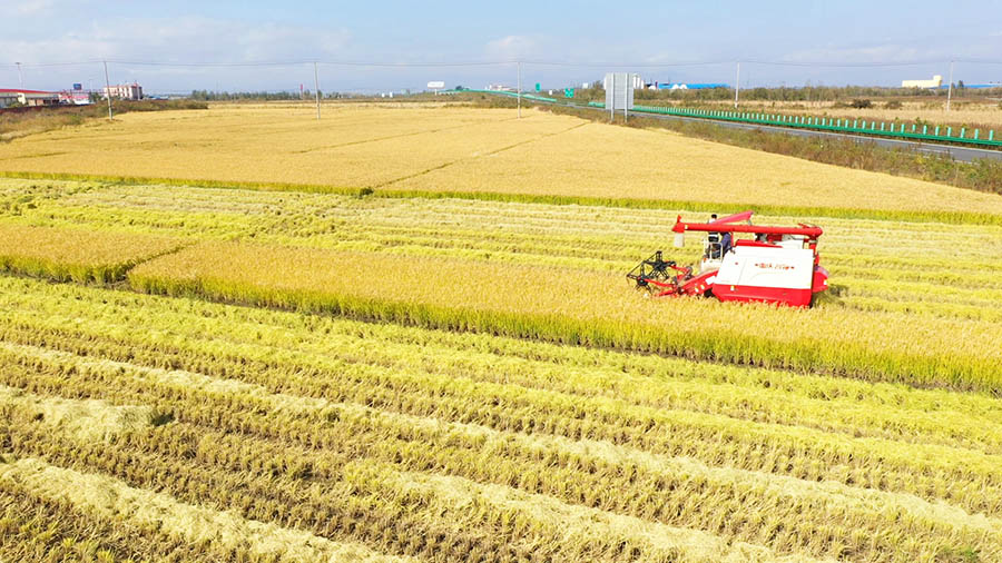 К?зд?? к?рк? - мол ?н?м