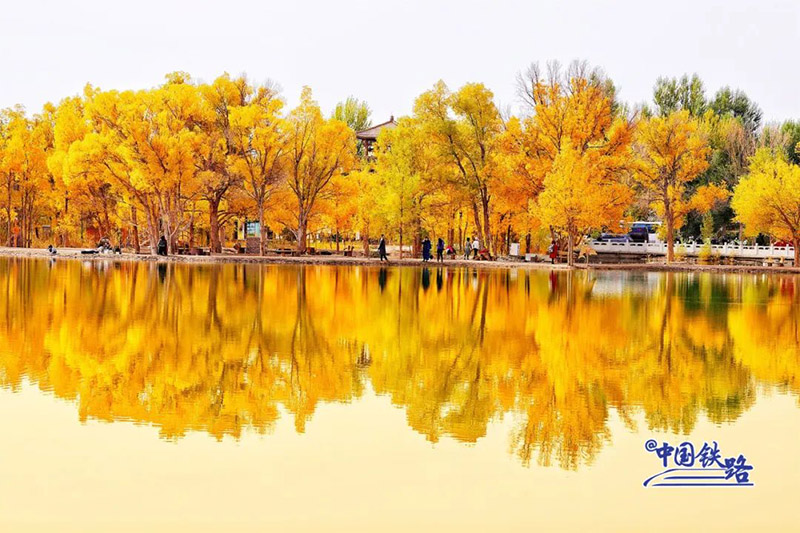 Пойыз?а отырып, ?дем? тора??ы орманын тамашала?ыздар