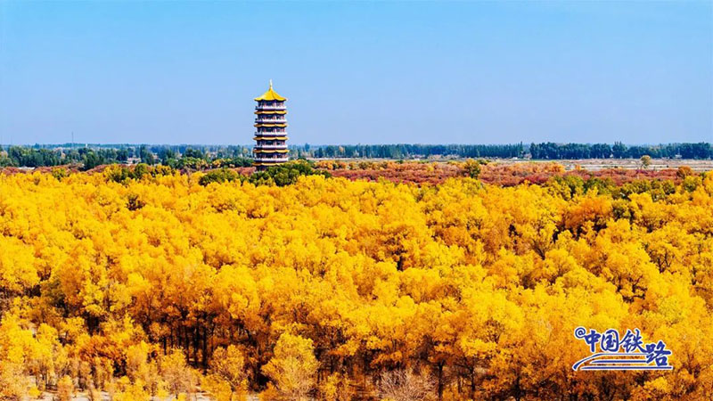 Пойыз?а отырып, ?дем? тора??ы орманын тамашала?ыздар