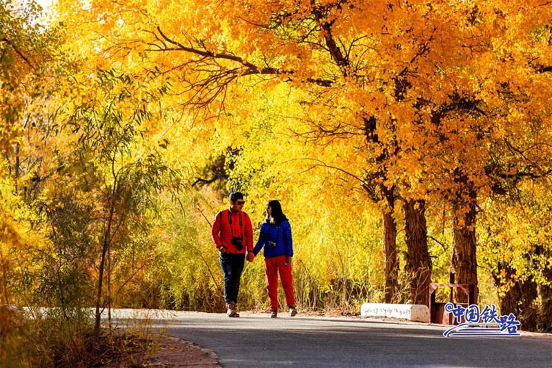 Пойыз?а отырып, ?дем? тора??ы орманын тамашала?ыздар