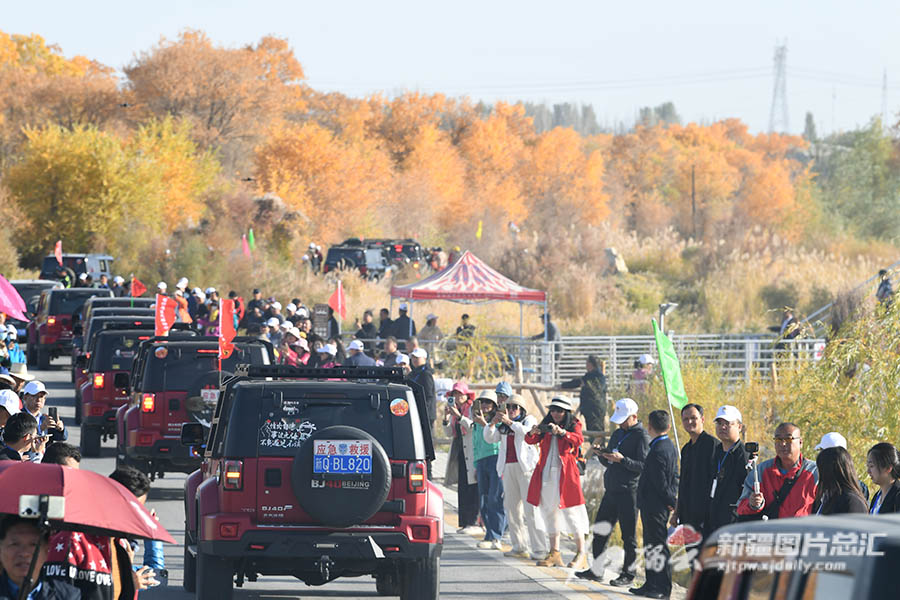 Шы?жа?ны? ?аш?ар айма?ында Ж?бек жолы м?дениет? тора??ы фестивал? ашылды