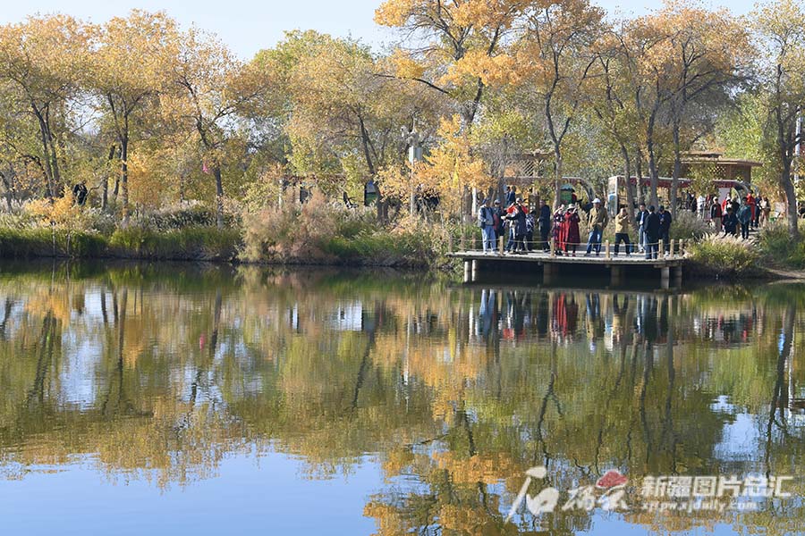 Шы?жа?ны? ?аш?ар айма?ында Ж?бек жолы м?дениет? тора??ы фестивал? ашылды