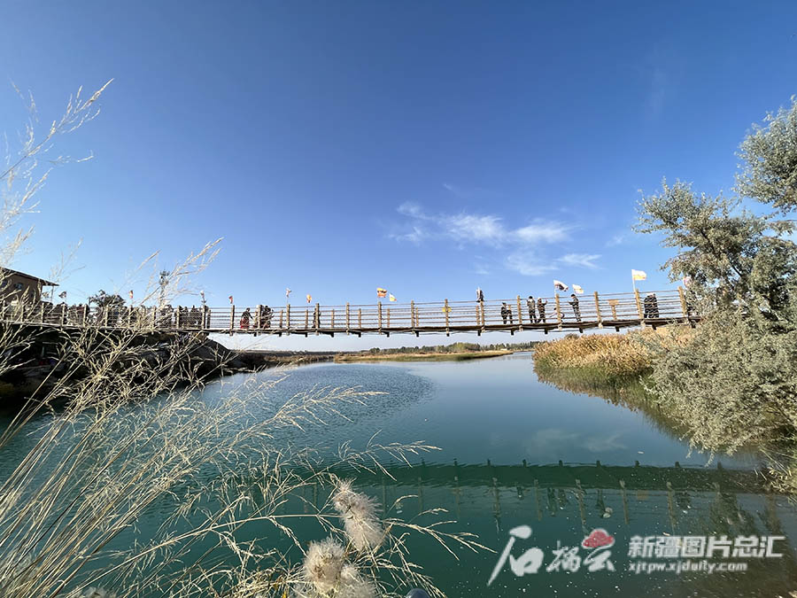 Шы?жа?ны? ?аш?ар айма?ында Ж?бек жолы м?дениет? тора??ы фестивал? ашылды