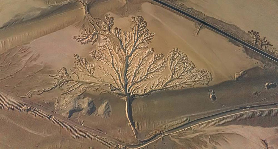 Али, Тибет: жер бет?ндег? а?аш т?р?зд? бедерлер